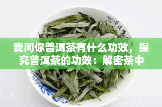 我问你普洱茶有什么功效，探究普洱茶的功效：解密茶中的健之道