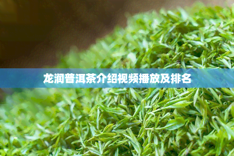 龙润普洱茶介绍视频播放及排名