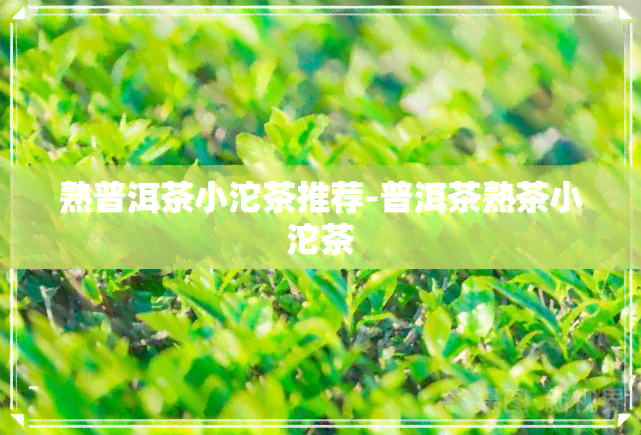 熟普洱茶小沱茶推荐-普洱茶熟茶小沱茶