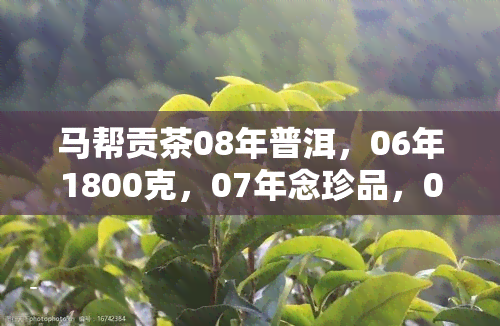 马帮贡茶08年普洱，06年1800克，07年念珍品，06年限量版9999，07年限量版生茶