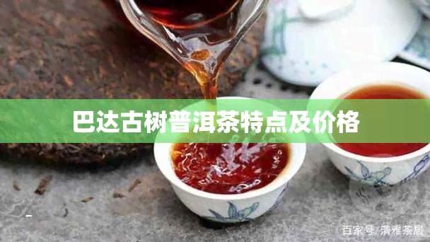 巴达古树普洱茶特点及价格