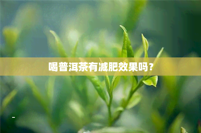 喝普洱茶有减肥效果吗？