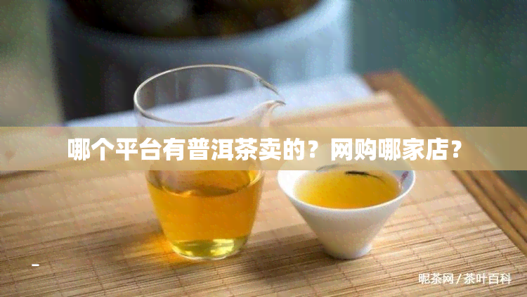 哪个平台有普洱茶卖的？网购哪家店？