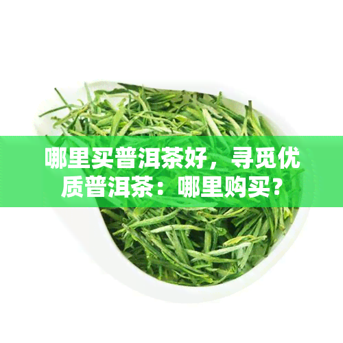 哪里买普洱茶好，寻觅优质普洱茶：哪里购买？