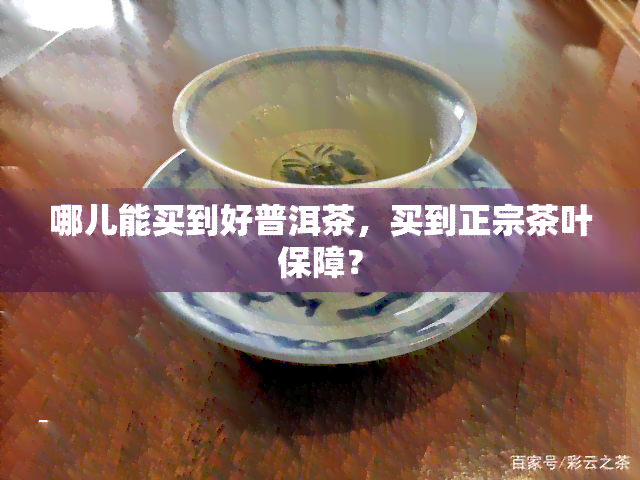 哪儿能买到好普洱茶，买到正宗茶叶保障？