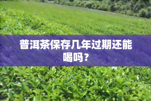 普洱茶保存几年过期还能喝吗？