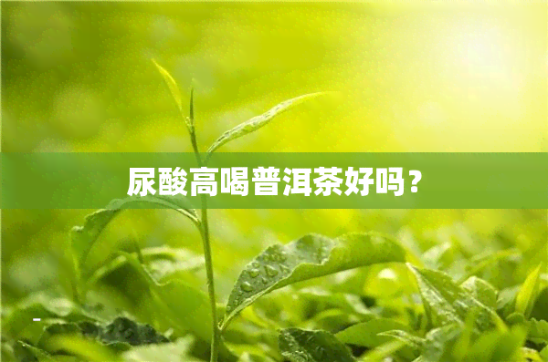 尿酸高喝普洱茶好吗？