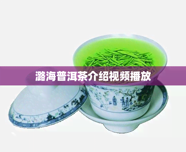 潞海普洱茶介绍视频播放