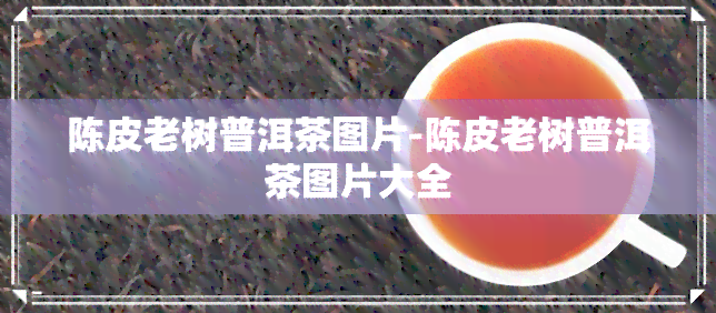 陈皮老树普洱茶图片-陈皮老树普洱茶图片大全