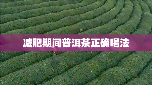 减肥期间普洱茶正确喝法