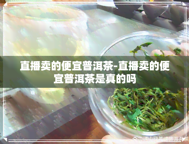 直播卖的便宜普洱茶-直播卖的便宜普洱茶是真的吗