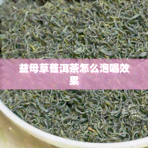 益母草普洱茶怎么泡喝效果