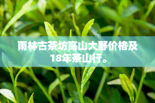 雨林古茶坊高山大野价格及18年茶山行。