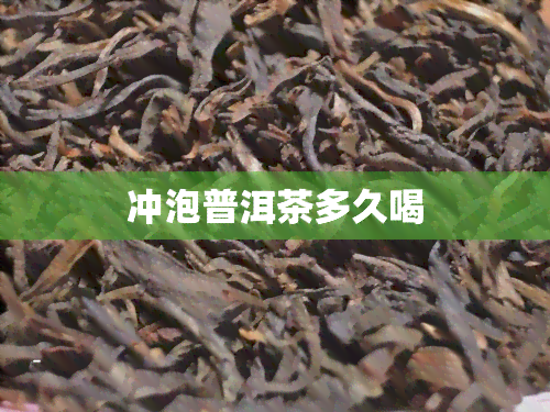 冲泡普洱茶多久喝