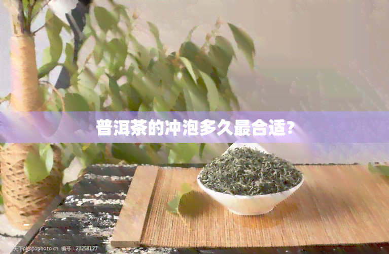 普洱茶的冲泡多久最合适？