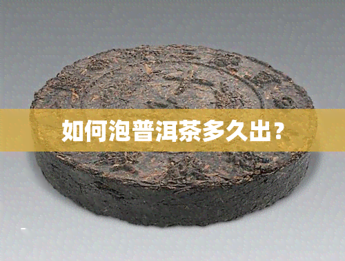 如何泡普洱茶多久出？