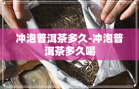 冲泡普洱茶多久-冲泡普洱茶多久喝