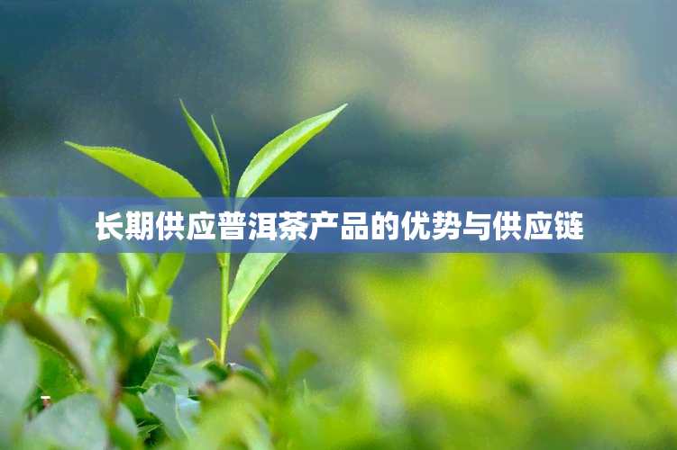 长期供应普洱茶产品的优势与供应链