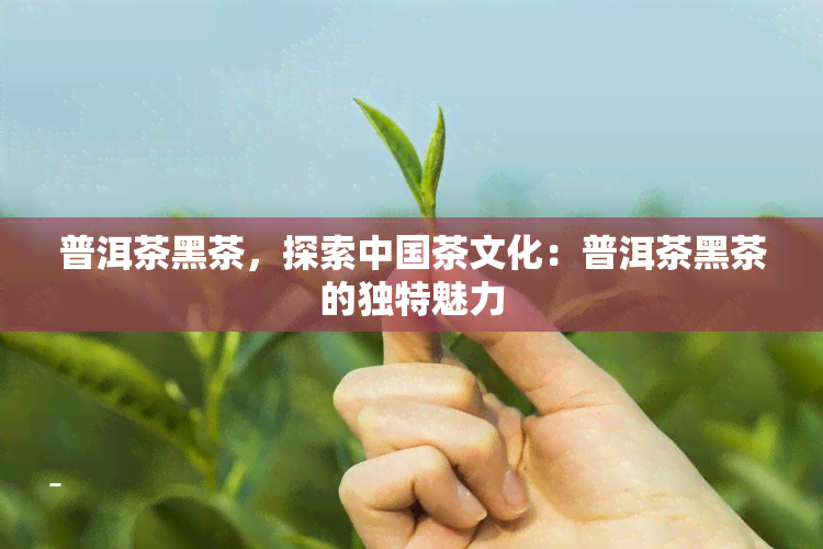 普洱茶黑茶，探索中国茶文化：普洱茶黑茶的独特魅力