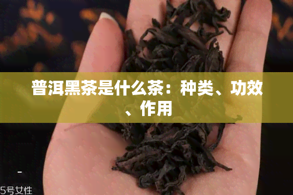 普洱黑茶是什么茶：种类、功效、作用