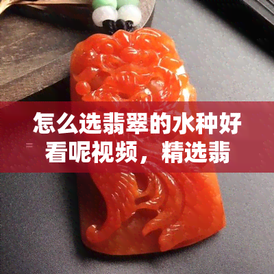 怎么选翡翠的水种好看呢视频，精选翡翠水种技巧：观看怎么选翡翠的水种好看呢视频指南