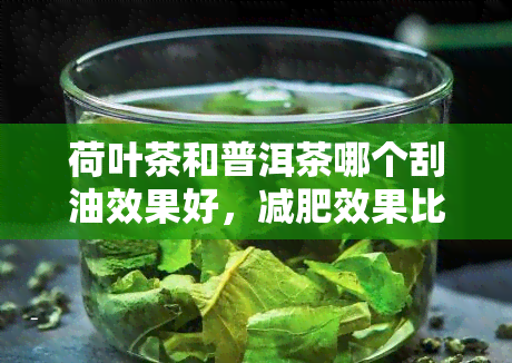 荷叶茶和普洱茶哪个刮油效果好，减肥效果比较