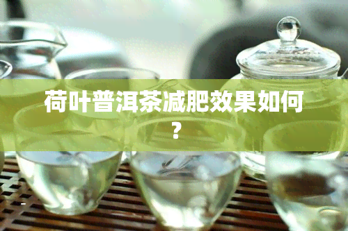 荷叶普洱茶减肥效果如何？