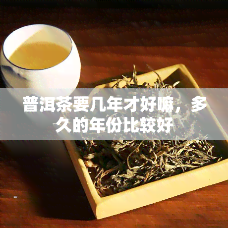 普洱茶要几年才好嘛，多久的年份比较好