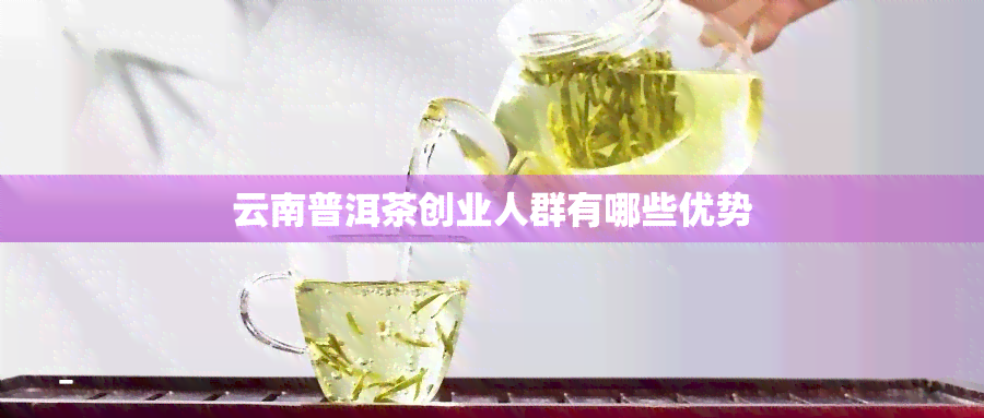 云南普洱茶创业人群有哪些优势