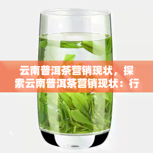 云南普洱茶营销现状，探索云南普洱茶营销现状：行业洞察与发展趋势