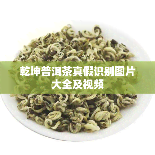 乾坤普洱茶真假识别图片大全及视频