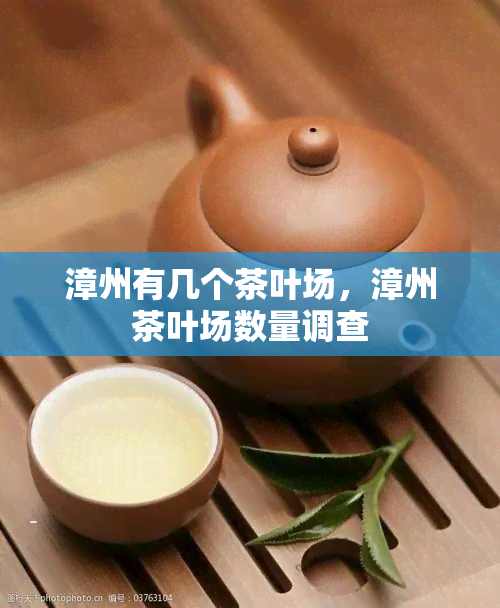 漳州有几个茶叶场，漳州茶叶场数量调查