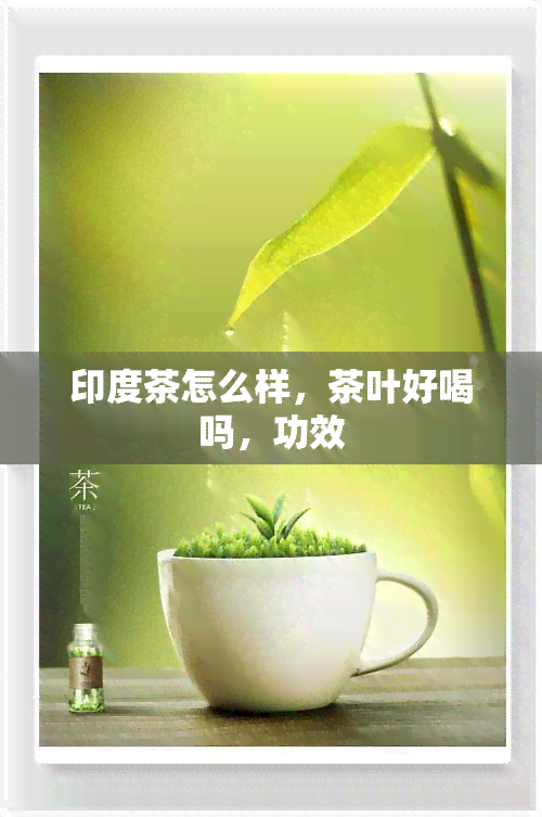 印度茶怎么样，茶叶好喝吗，功效