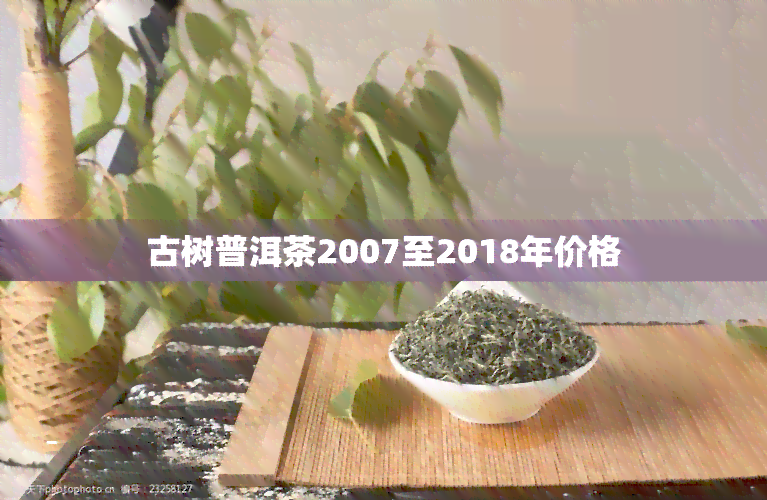 古树普洱茶2007至2018年价格