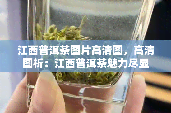 江西普洱茶图片高清图，高清图析：江西普洱茶魅力尽显