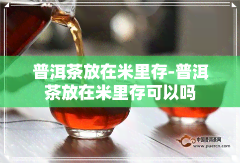 普洱茶放在米里存-普洱茶放在米里存可以吗