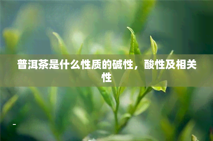 普洱茶是什么性质的碱性，酸性及相关性