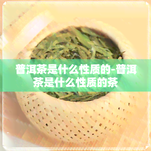 普洱茶是什么性质的-普洱茶是什么性质的茶