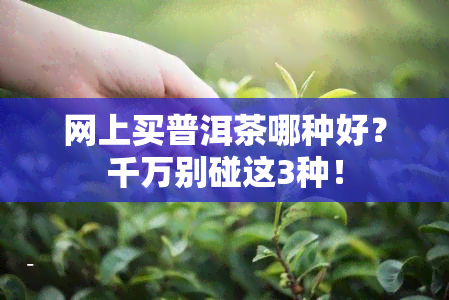 网上买普洱茶哪种好？千万别碰这3种！