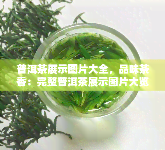 普洱茶展示图片大全，品味茶香：完整普洱茶展示图片大览