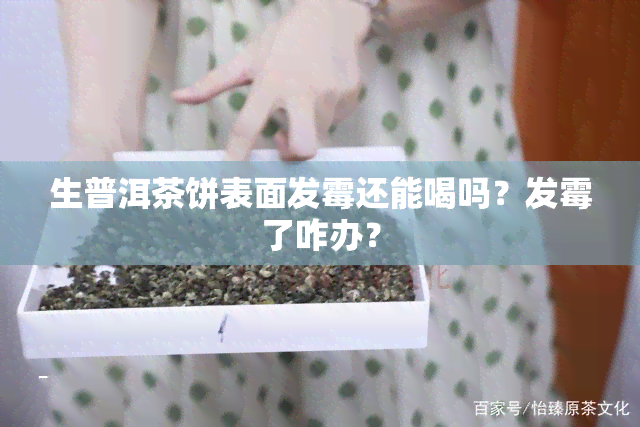 生普洱茶饼表面发霉还能喝吗？发霉了咋办？