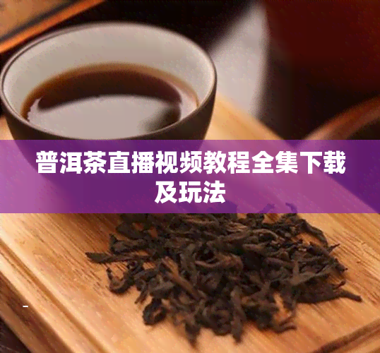 普洱茶直播视频教程全集下载及玩法