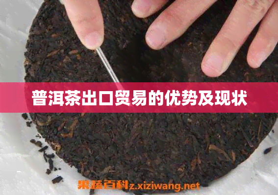 普洱茶出口贸易的优势及现状