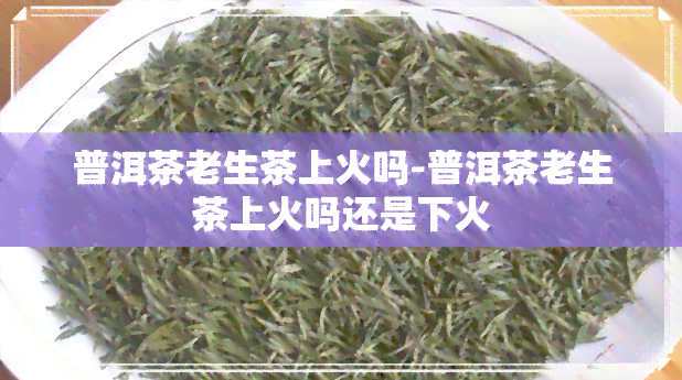 普洱茶老生茶上火吗-普洱茶老生茶上火吗还是下火