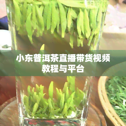 小东普洱茶直播带货视频教程与平台