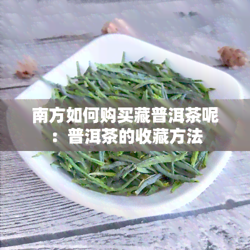 南方如何购买藏普洱茶呢：普洱茶的收藏方法