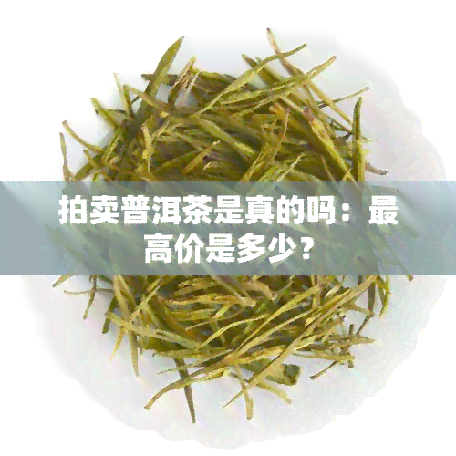 拍卖普洱茶是真的吗：更高价是多少？