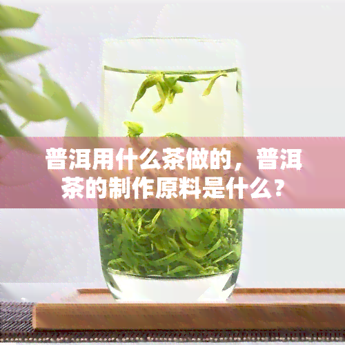 普洱用什么茶做的，普洱茶的制作原料是什么？