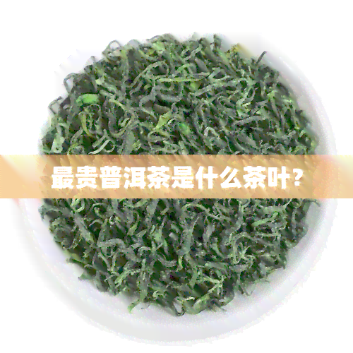 最贵普洱茶是什么茶叶？