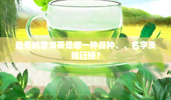 最贵的普洱茶是哪一种品种、、名字及排行榜？